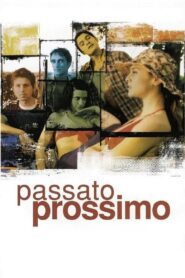 Past Perfect 2003 on netflix