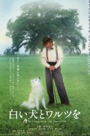 To Dance with the White Dog 2002 on netflix
