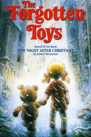 The Forgotten Toys 1995 on netflix