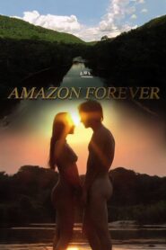 Amazon Forever 2004 on netflix