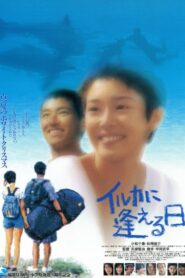 イルカに逢える日 1994 on netflix