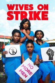 Wives on Strike 2016 on netflix