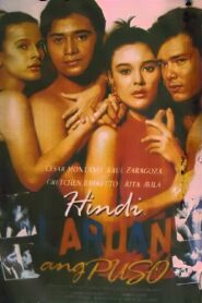 Hindi Laruan Ang Puso 1990 on netflix