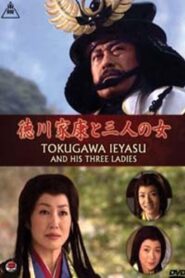 Tokugawa Ieyasu and his Three Ladies 2008 on netflix
