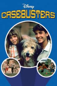 Casebusters 1986 on netflix