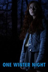 One Winter Night 2019 on netflix