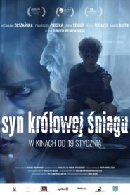 Son of the Snow Queen 2017 on netflix