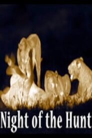 Night of the Hunt 2011 on netflix