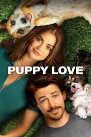Puppy Love 2023 on netflix