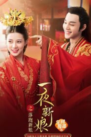 一夜新娘之落跑新娘 2021 on netflix