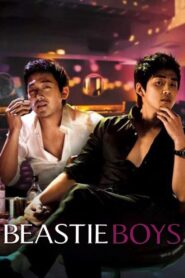 Beastie Boys 2008 on netflix