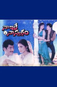 Naa Ille Naa Swargam 1991 on netflix