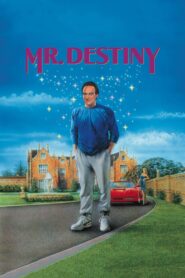 Mr. Destiny 1990 on netflix