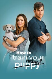 How to Train Your Husband 2018 on netflix