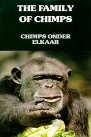 The Family of Chimps 1984 on netflix