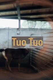 Tuo Tuo 2022 on netflix