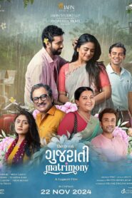 The Great Gujarati Matrimony 2024 on netflix