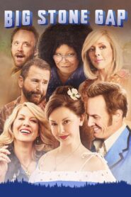 Big Stone Gap 2014 on netflix