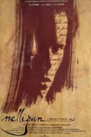 Nelligan 1991 on netflix