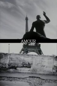Amour 1997 on netflix
