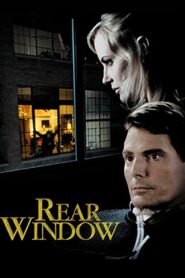 Rear Window 1998 on netflix