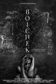 Boichek 2017 on netflix