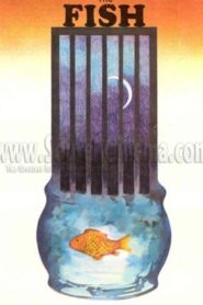 Fish 1989 on netflix