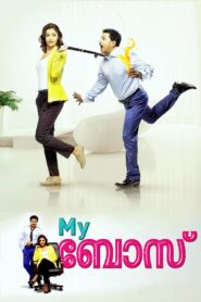 My Boss 2012 on netflix