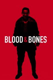 Blood and Bones 2004 on netflix