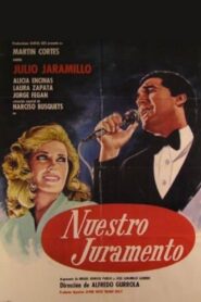 Nuestro Juramento 1980 on netflix