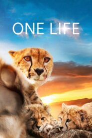 One Life 2011 on netflix