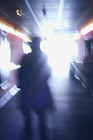 Stan Brakhage Exits the Cinema and Enters the Light of Day 2002 on netflix
