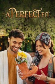 A Perfect Fit 2021 on netflix