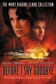 Before I Say Goodbye 2003 on netflix