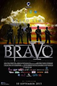 Bravo 5 2015 on netflix