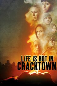 Life Is Hot in Cracktown 2009 on netflix
