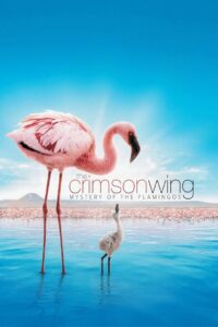 The Crimson Wing: Mystery of the Flamingos 2008 on netflix