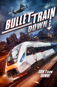 Bullet Train Down 2022 on netflix