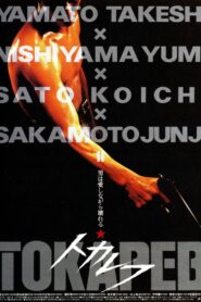 Tokarev 1994 on netflix