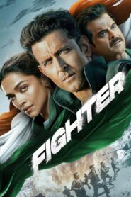Fighter 2024 on netflix