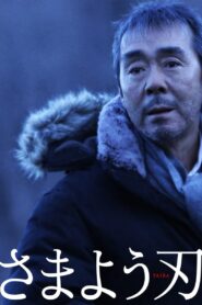 The Hovering Blade 2009 on netflix