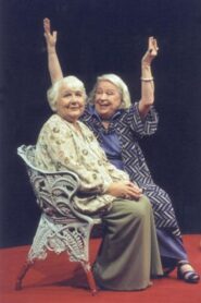 Idlaflickorna 1996 on netflix