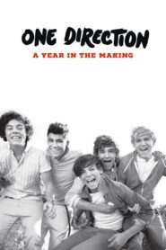 One Direction: A Year in the Making 2011 on netflix