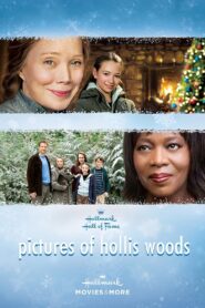 Pictures of Hollis Woods 2007 on netflix