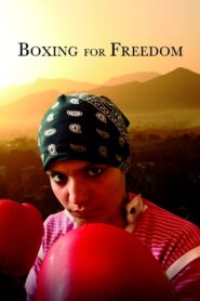 Boxing for Freedom 2015 on netflix