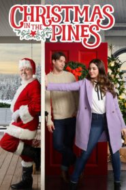 Christmas in the Pines 2021 on netflix