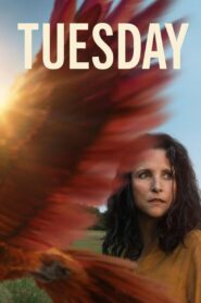 Tuesday 2024 on netflix