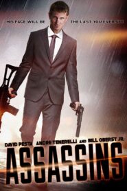Assassins 2014 on netflix