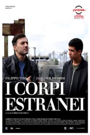 Foreign Bodies 2013 on netflix
