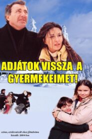 Rivoglio i miei figli 2004 on netflix